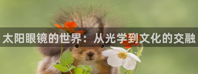 新宝5登录不了