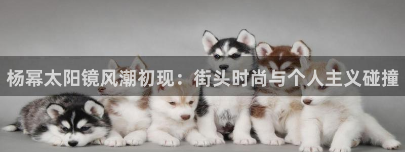 新宝5官网霸