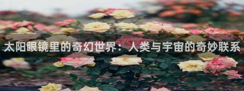 新宝5什么时候上市