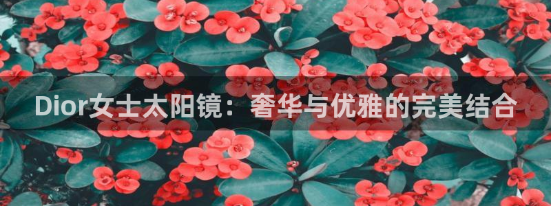 新宝5娱乐注