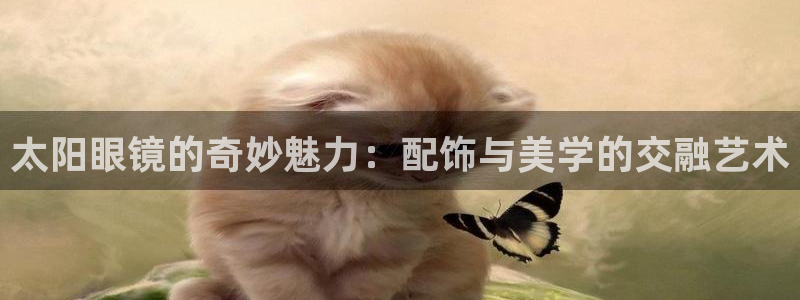 新5宝