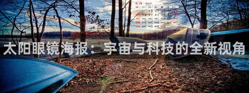 新宝5的网址
