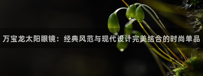 新宝5的网址