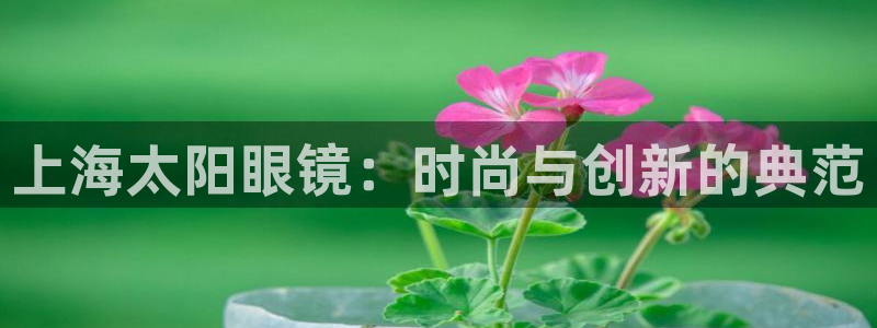 皇冠新宝5