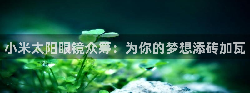 新宝5娱乐登陆