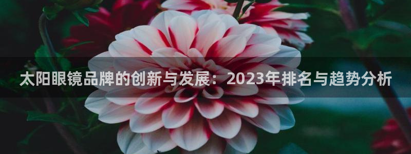 新宝5娱乐代理