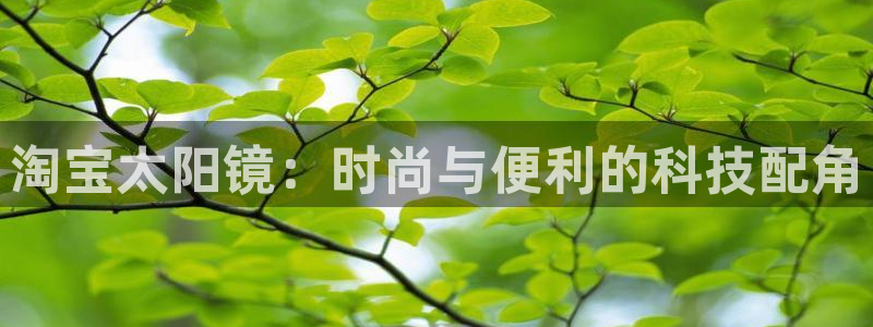 新宝5在哪里