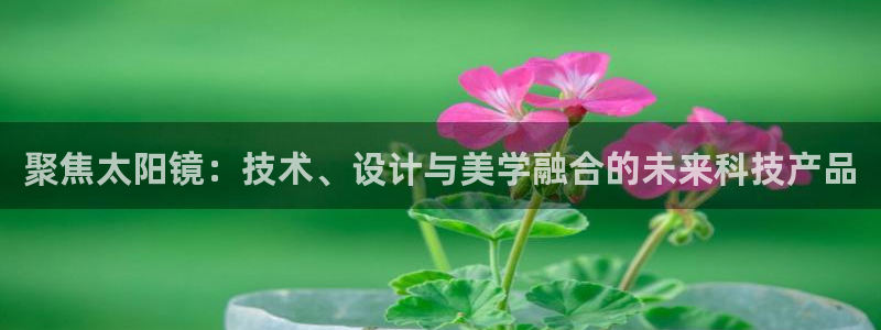 新宝5招商222111