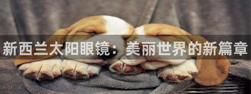 新宝5招商222111