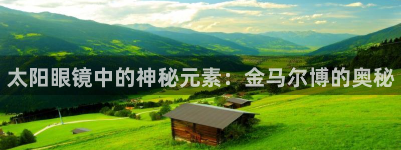 新宝5安卓版