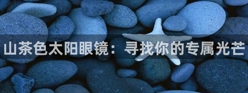 新宝5彩票平台登陆