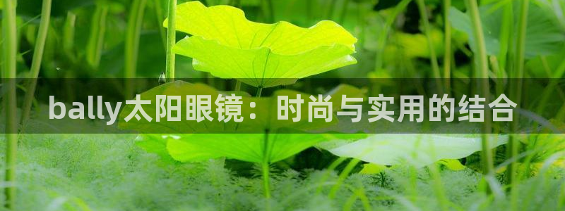 新宝5app手机下载