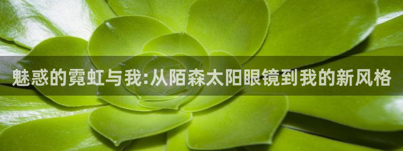 菲律宾新宝5老板