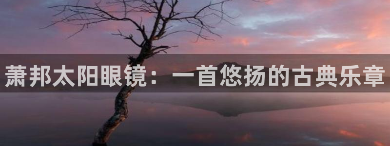 新宝5公司