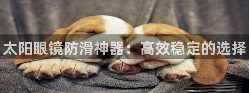 新宝5彩票娱乐平台