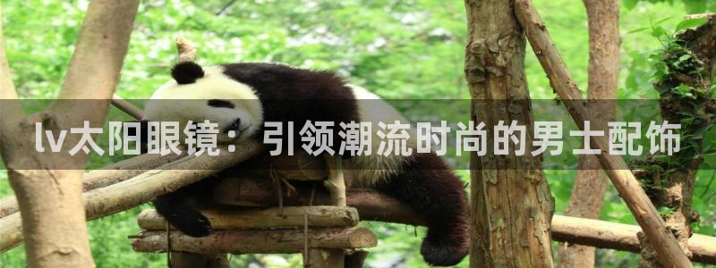 有人知道新宝5么