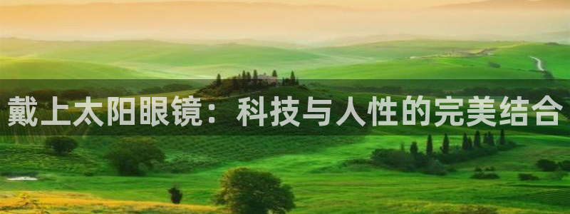 新宝股东王听2 5 5