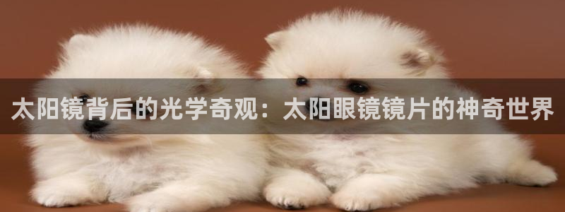 新宝5官方下载地址