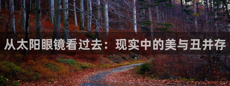 新宝5下载到桌面