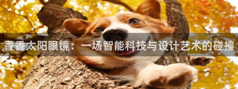 新宝5手机平台登陆