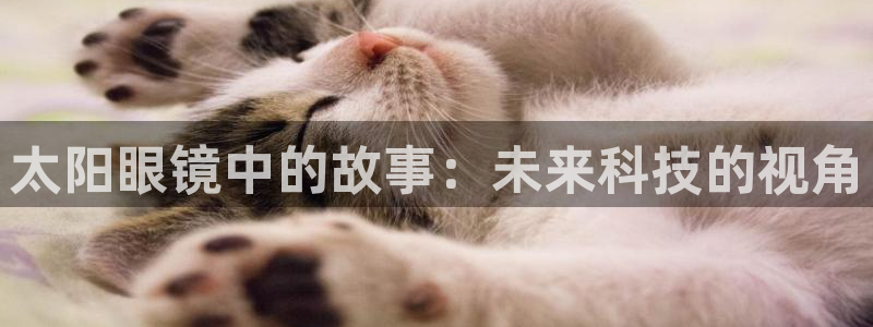 新宝5彩票娱乐平台