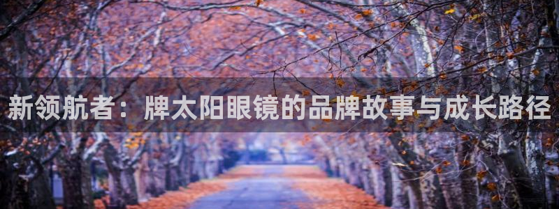 新宝5系列