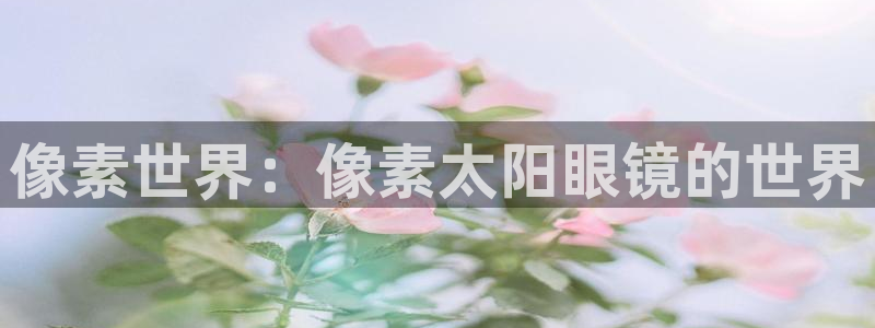 新宝那2O5O5O