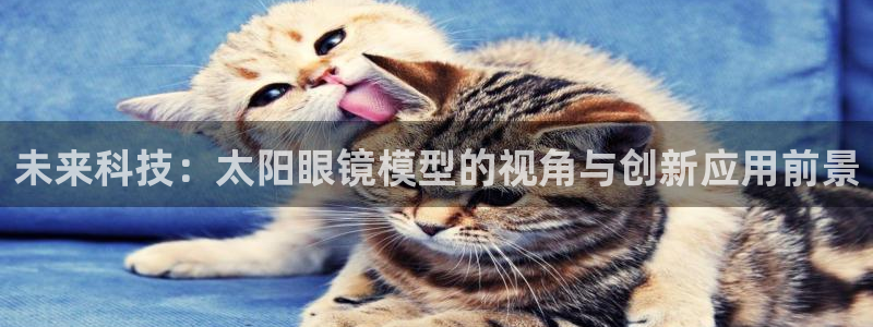 新宝5下载 迅雷下载