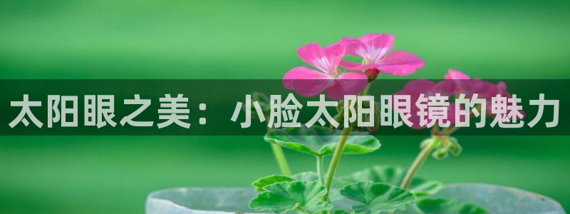 新宝5球维33 300
