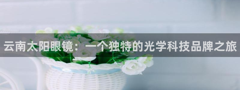 新宝5娱乐多