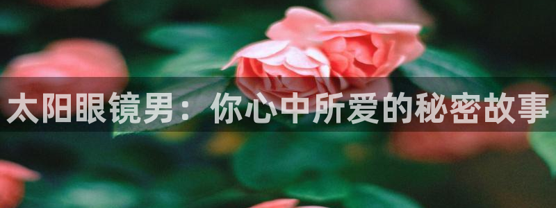 新宝5玩法