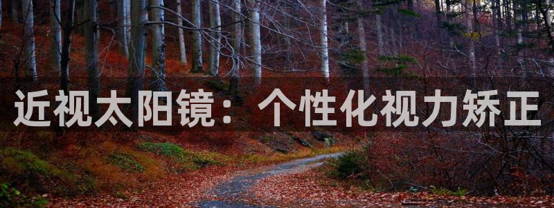 新宝5测速登陆