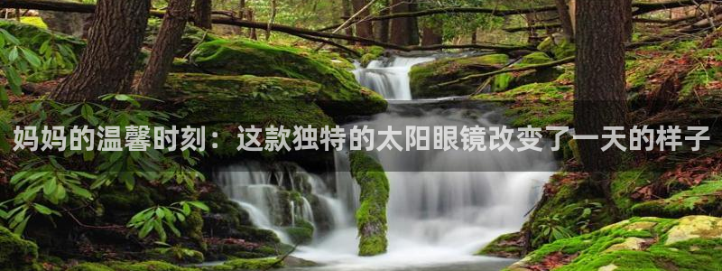 有人知道新宝5么